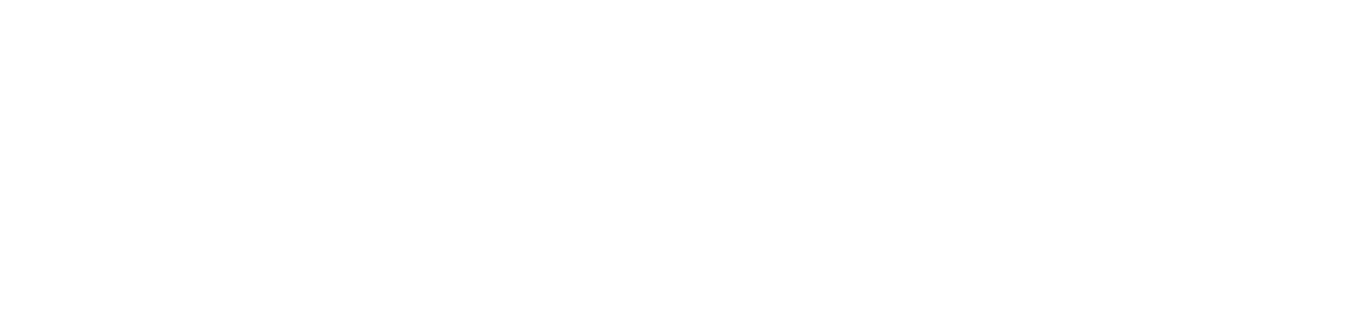 DiemLibre $DLB, NFT & Metaverse